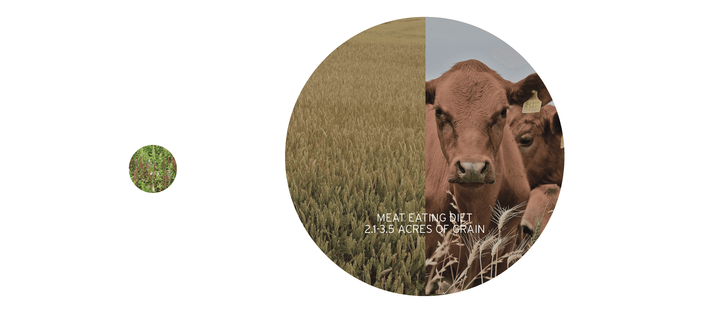 WYCD Eat Less Meat Acreage Required for vegetarian vs meat diet Bubble Diagram