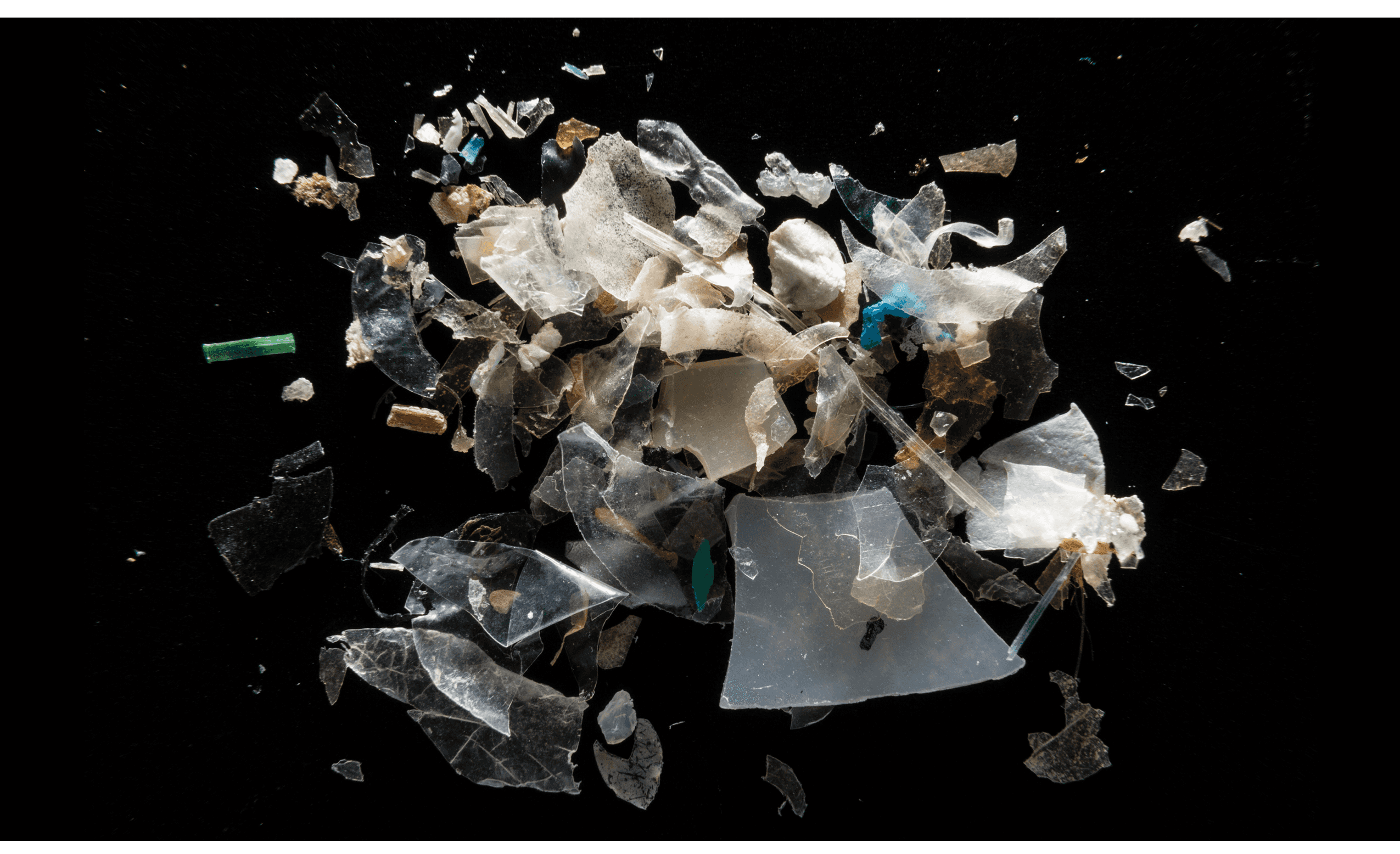 MICROPLASTICS Chesapeake Bay