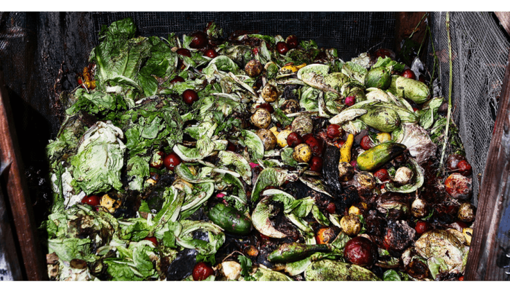 reduce food waste images - rotting food in dumpster