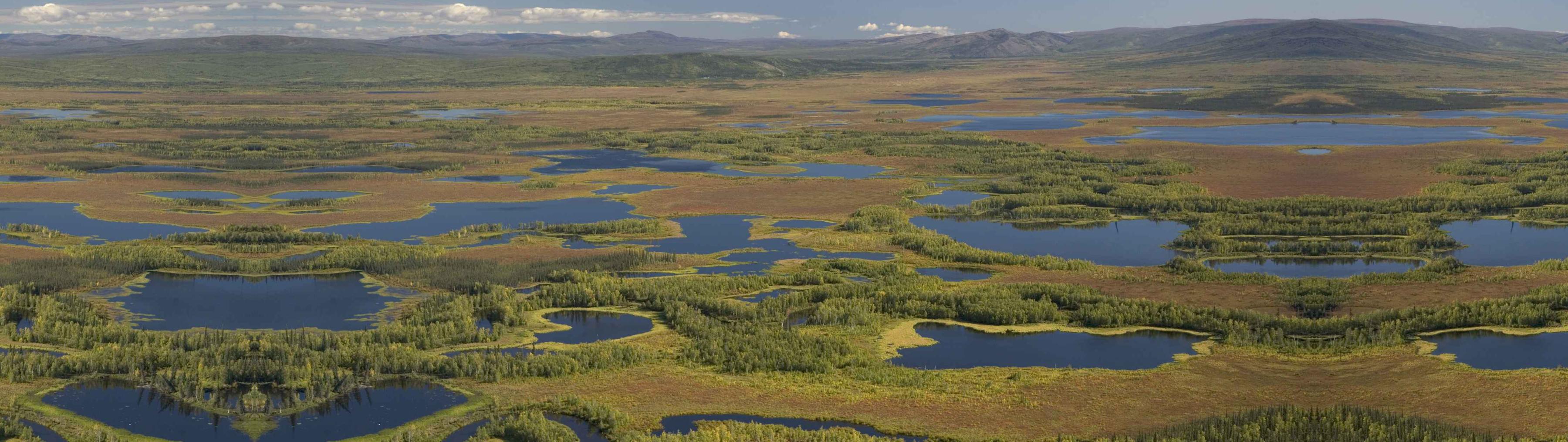 Solutions Hero Image Restore Inland Wetlands and Peat