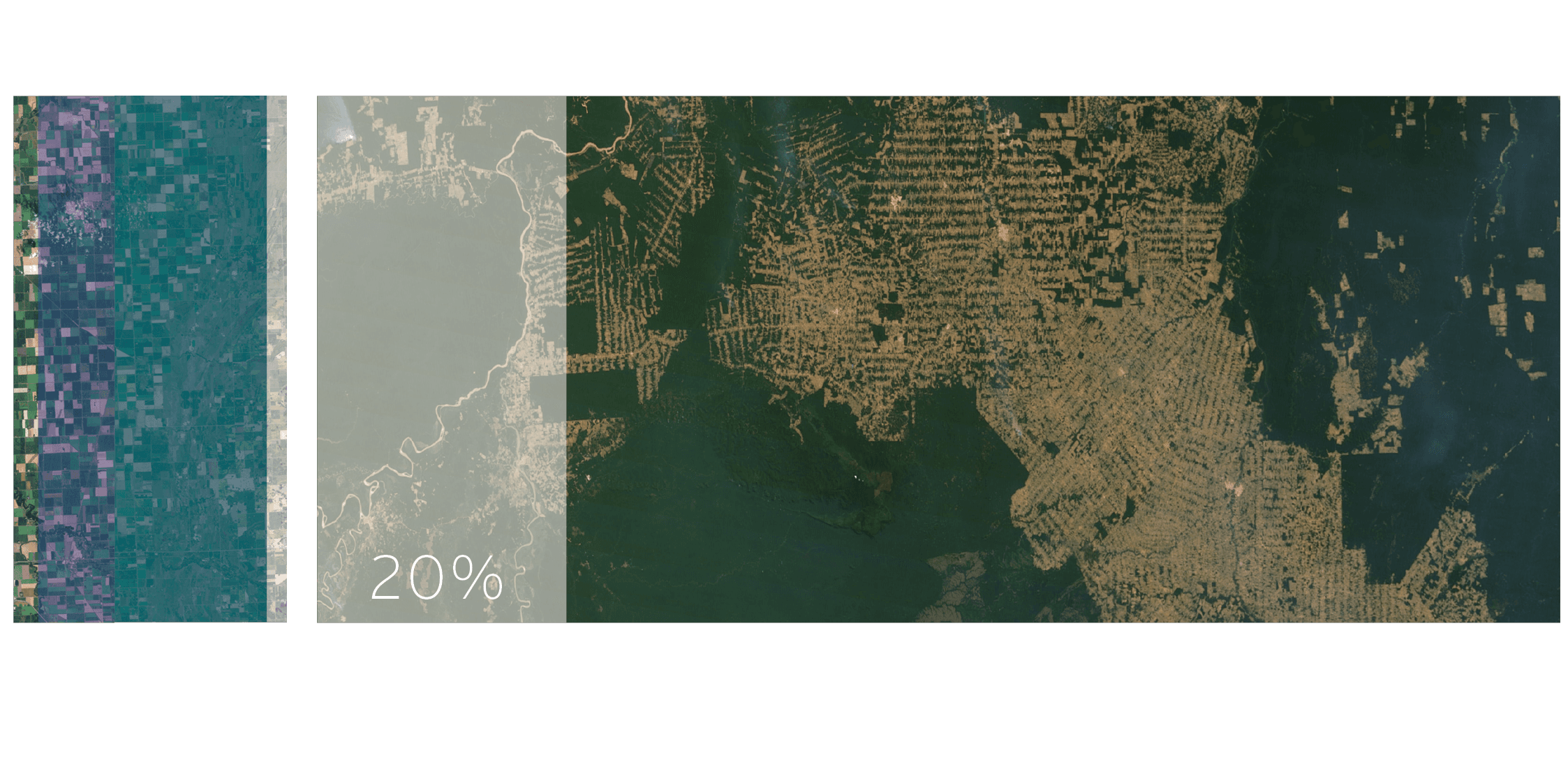 WYCD Eat Less Meat Area Diagram