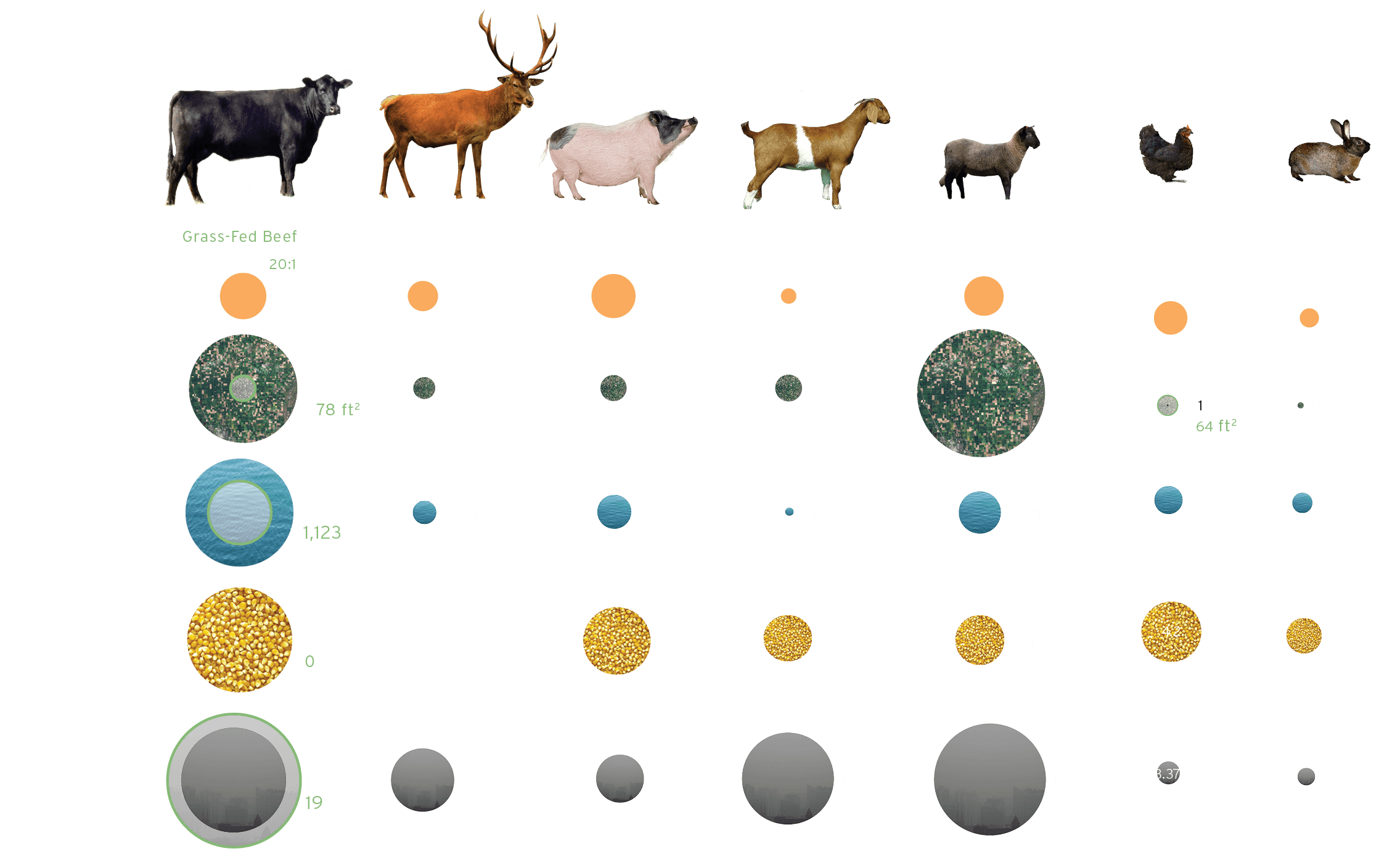 Eat Lower Down the Food Chain - to produce one pound of meat infographic