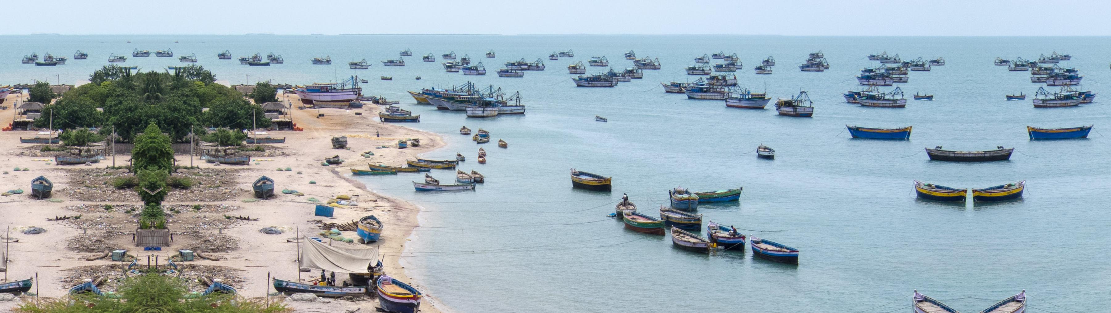 Solutions Hero Image Sustainable Fisheries