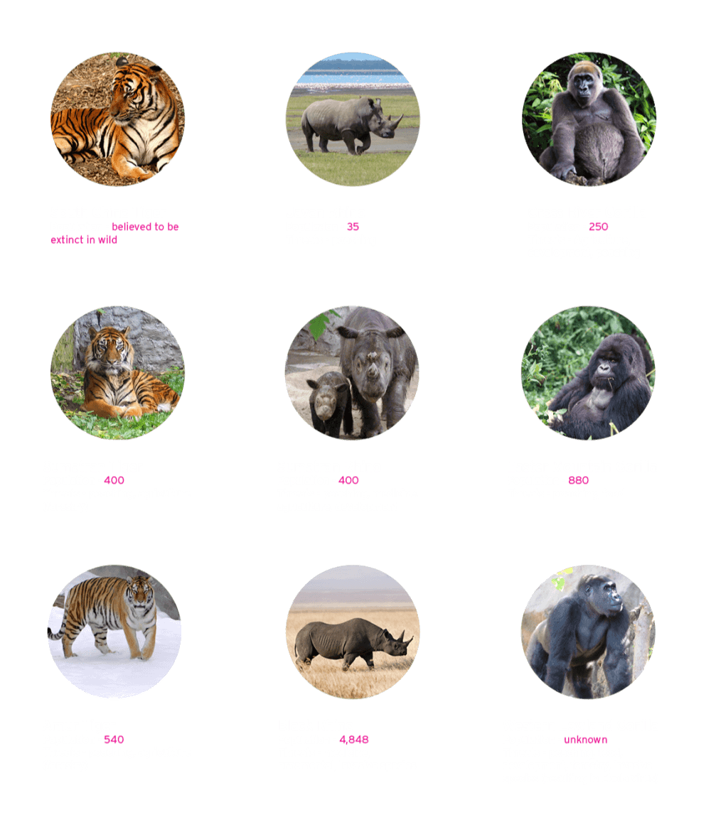WYCD endangered species - critically endangered species bubble graphic 1/2