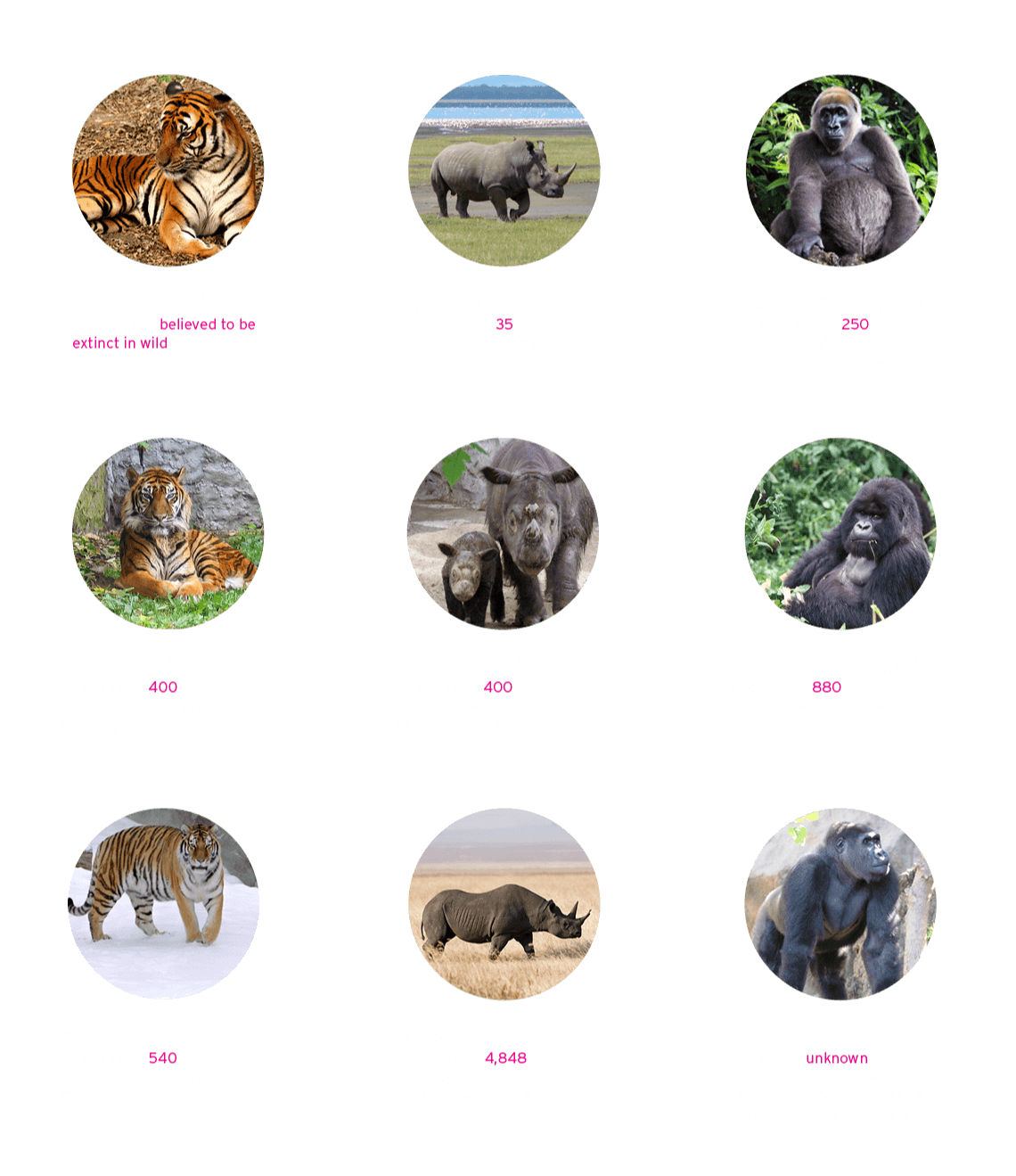 WYCD endangered species - critically endangered species bubble graphic 1/2