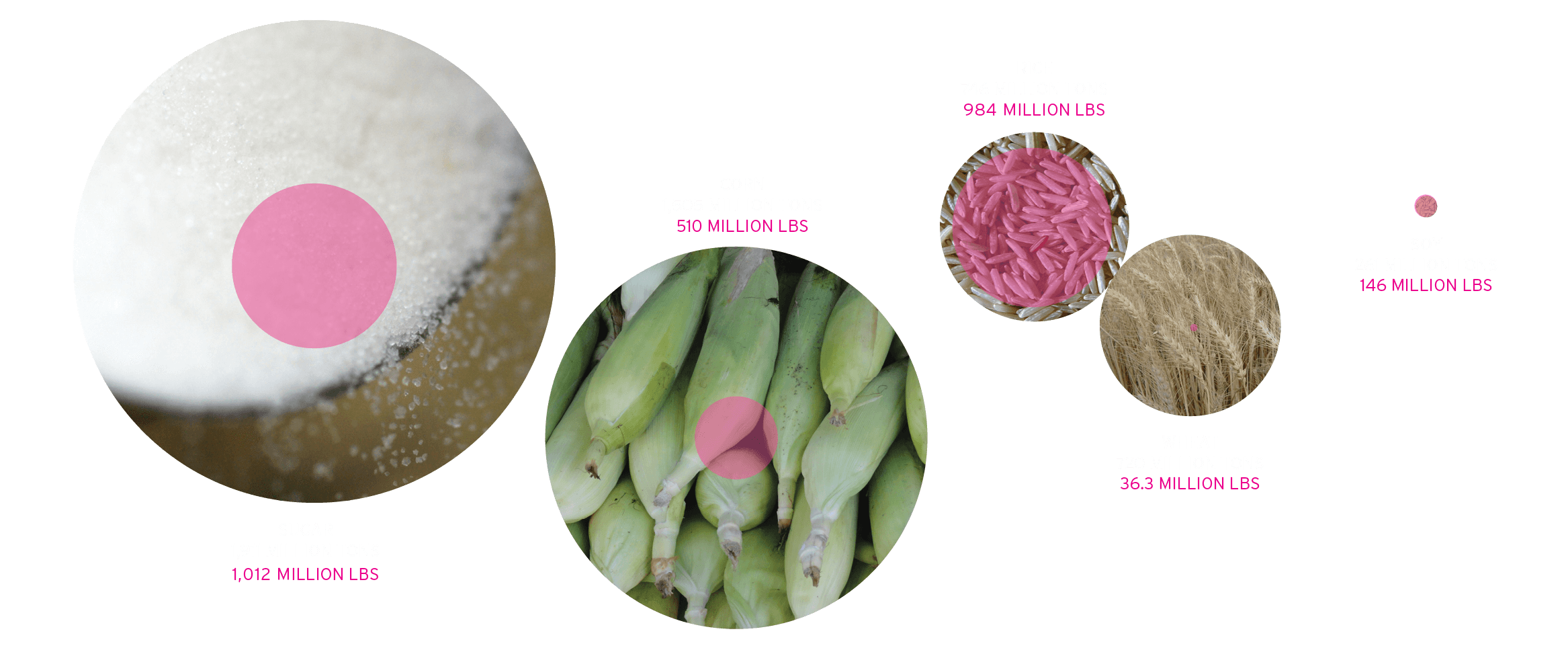 Crops with highest pesticide use infographic cropped - Support Sustainable Agriculture - reduce pesticides