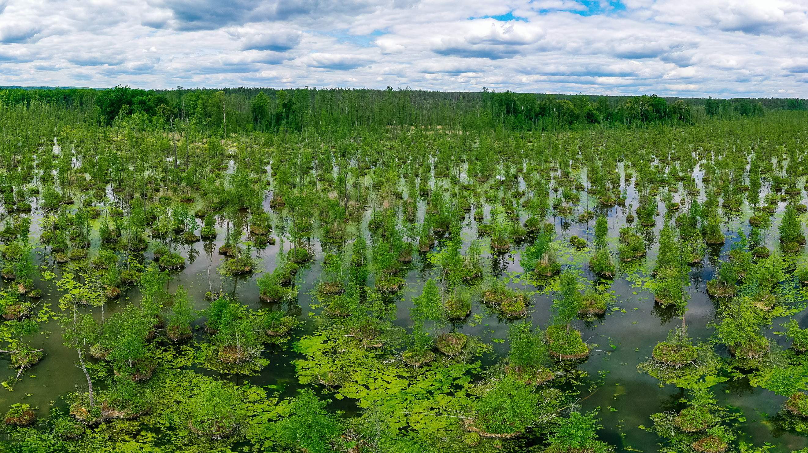 Solutions Restore Inland Wetlands and Peat Header Image