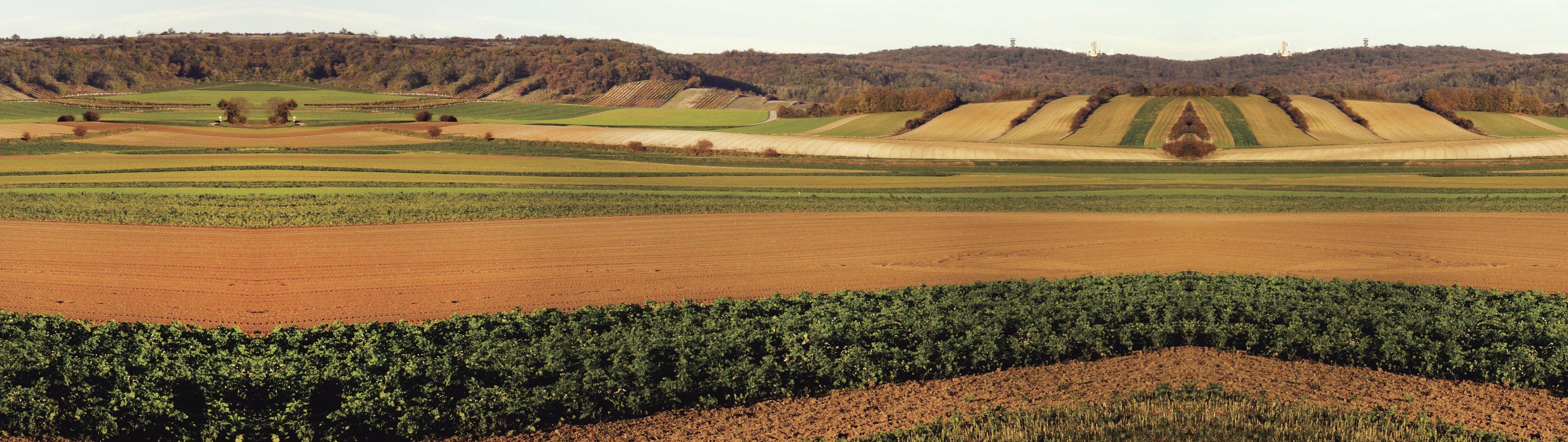 Solutions Hero Image Agriculture Overview alt5