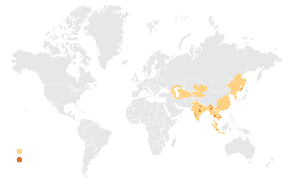 WYCD - endangered species - Tigers Historic Range Map