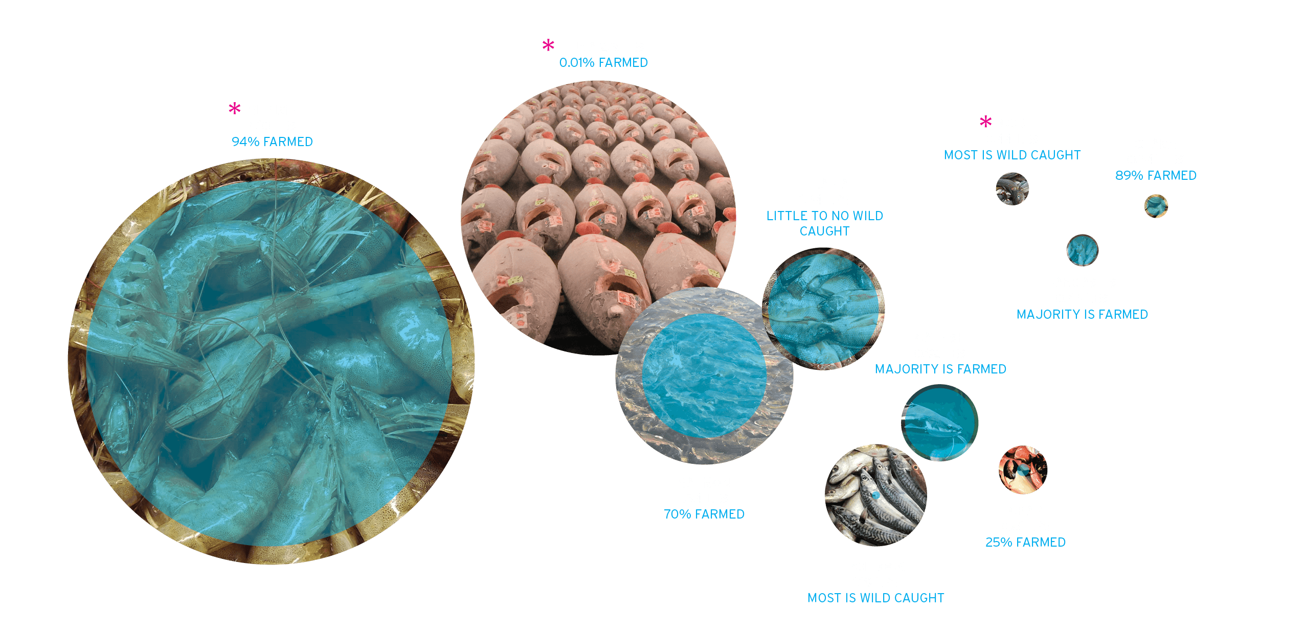 Top Consumed Fish in the United States w fraction farmed - bubble infographic