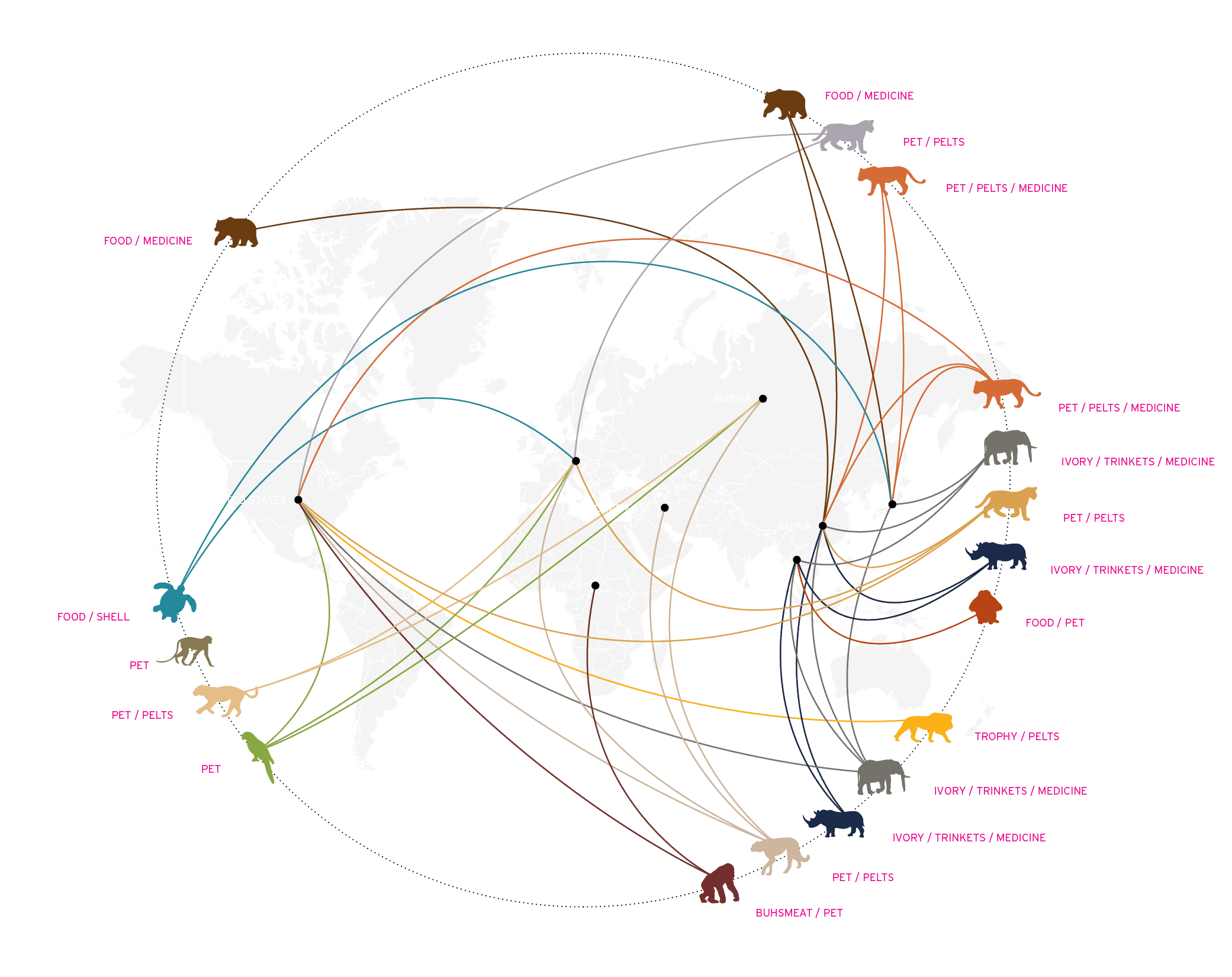 WYCD - endangered species - ilegal wildlife trade infographic map