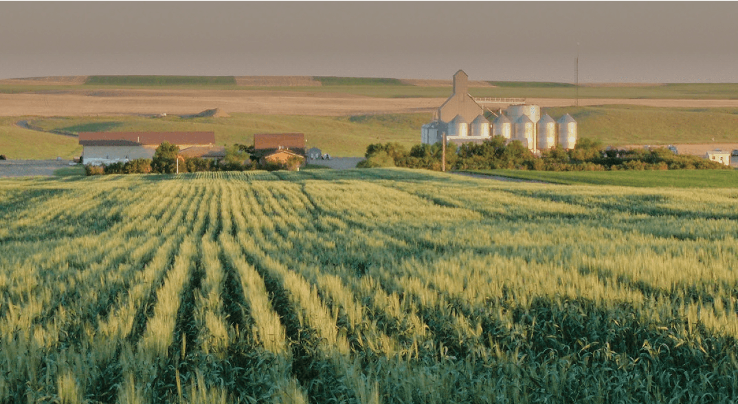 Greenprint feature image Agriculture