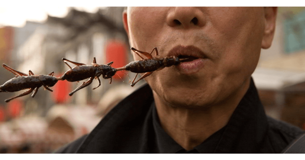 Man Eating Bugs on Skewer