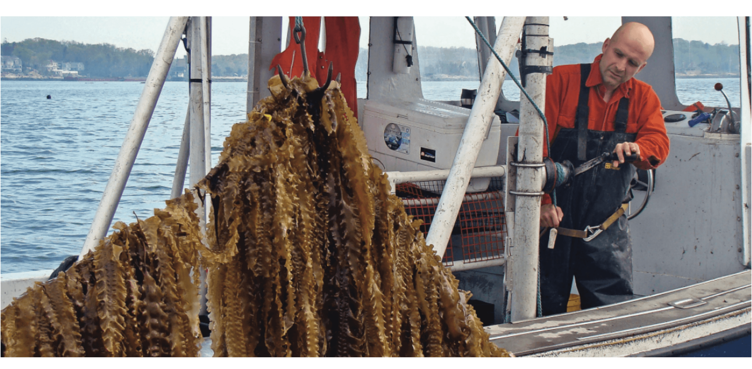 2021 Fishing & Aquaculture images - Greenwave best practices lifting seaweed onto boat