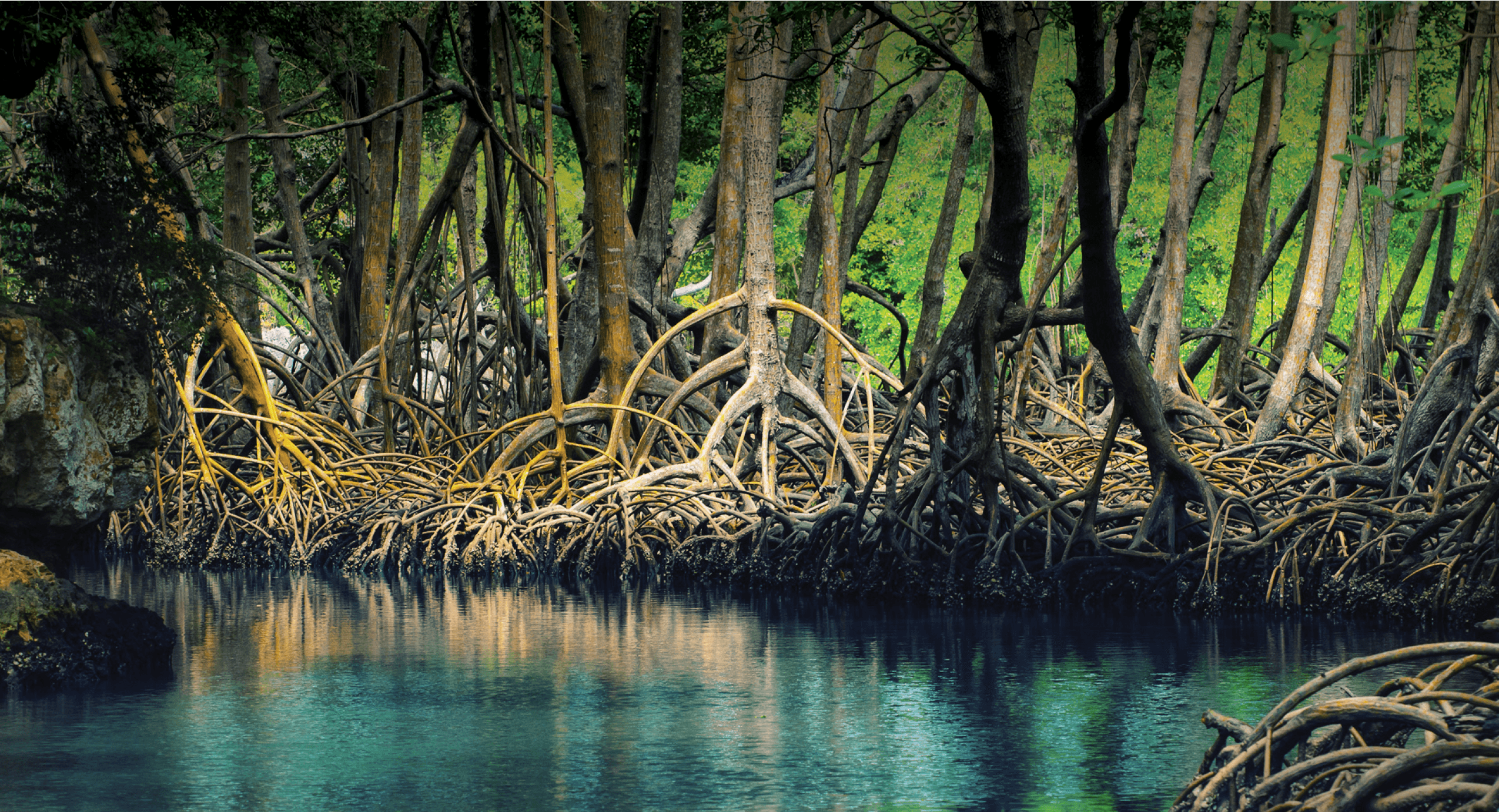 Greenprint feature image wetland restoration