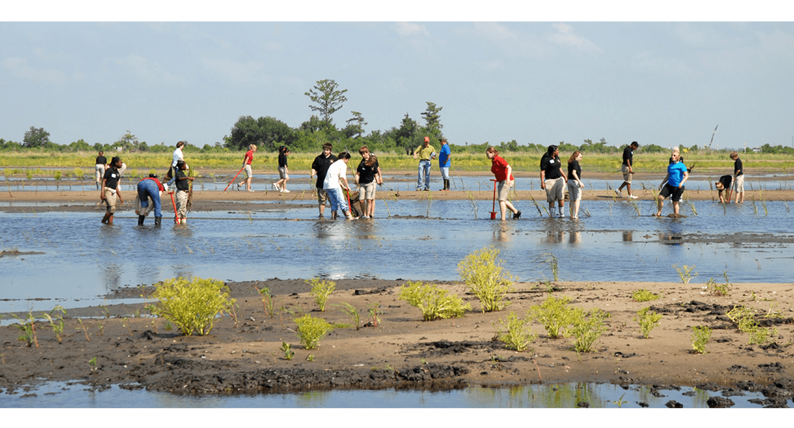 2021 Coasts & Wetlands images - coastal restoration work