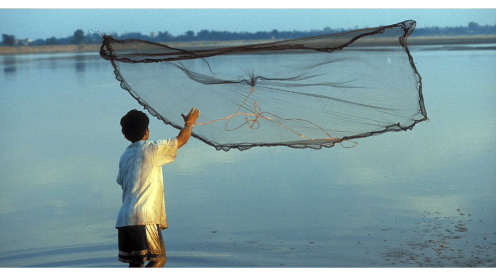 2021 Fishing & Aquaculture images - boy throwing net