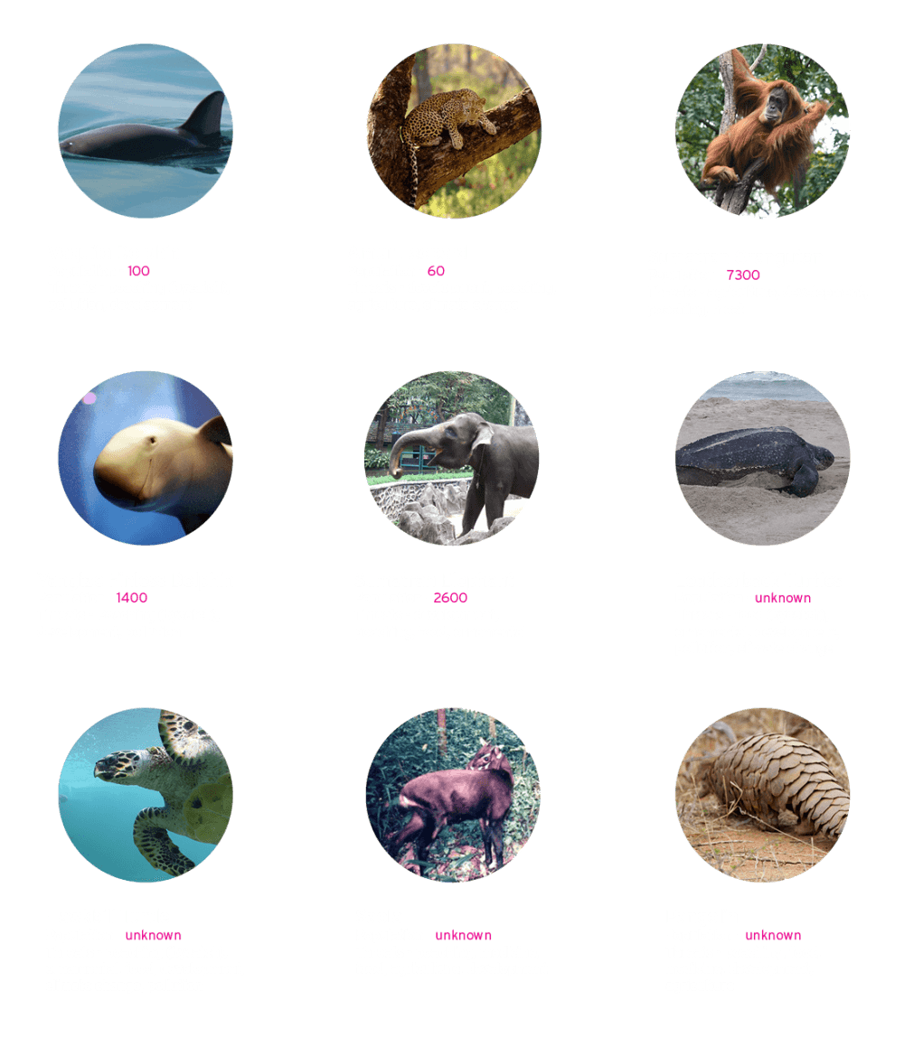 WYCD endangered species - critically endangered species bubble graphic 2/2