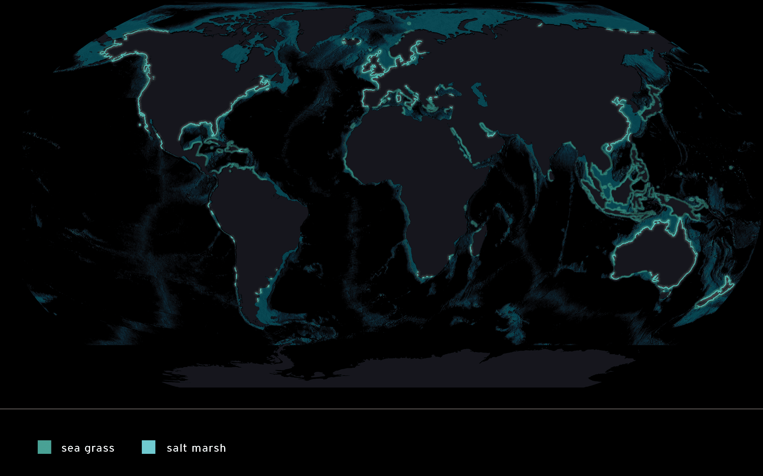 Global Seagrass and Salt Marsh
