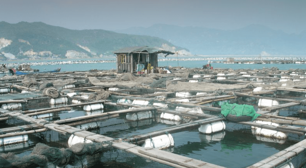 2021 Fishing & Aquaculture images - aquaculture farm