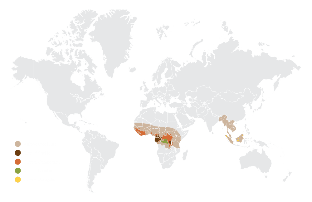 WYCD - endangered species - Great Ape Historic Range Map