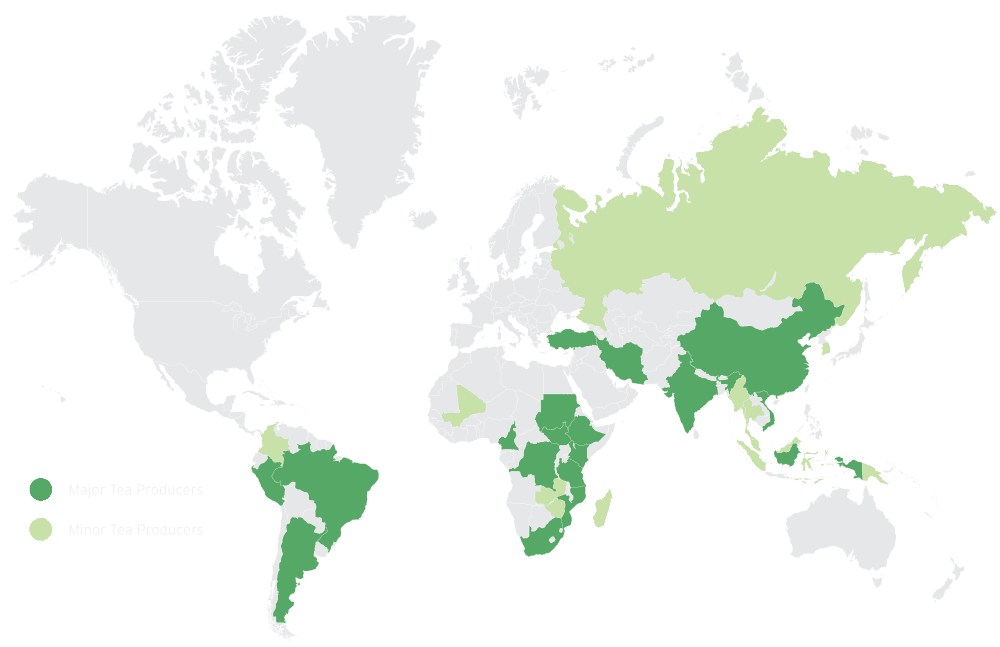 TEA global production map