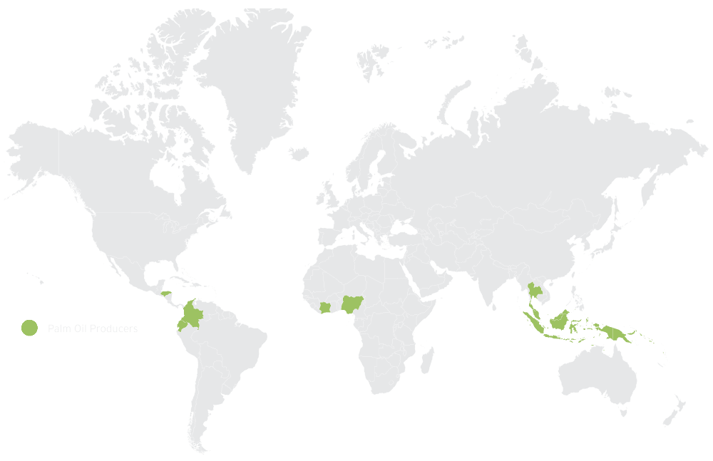 PALM OIL global production map