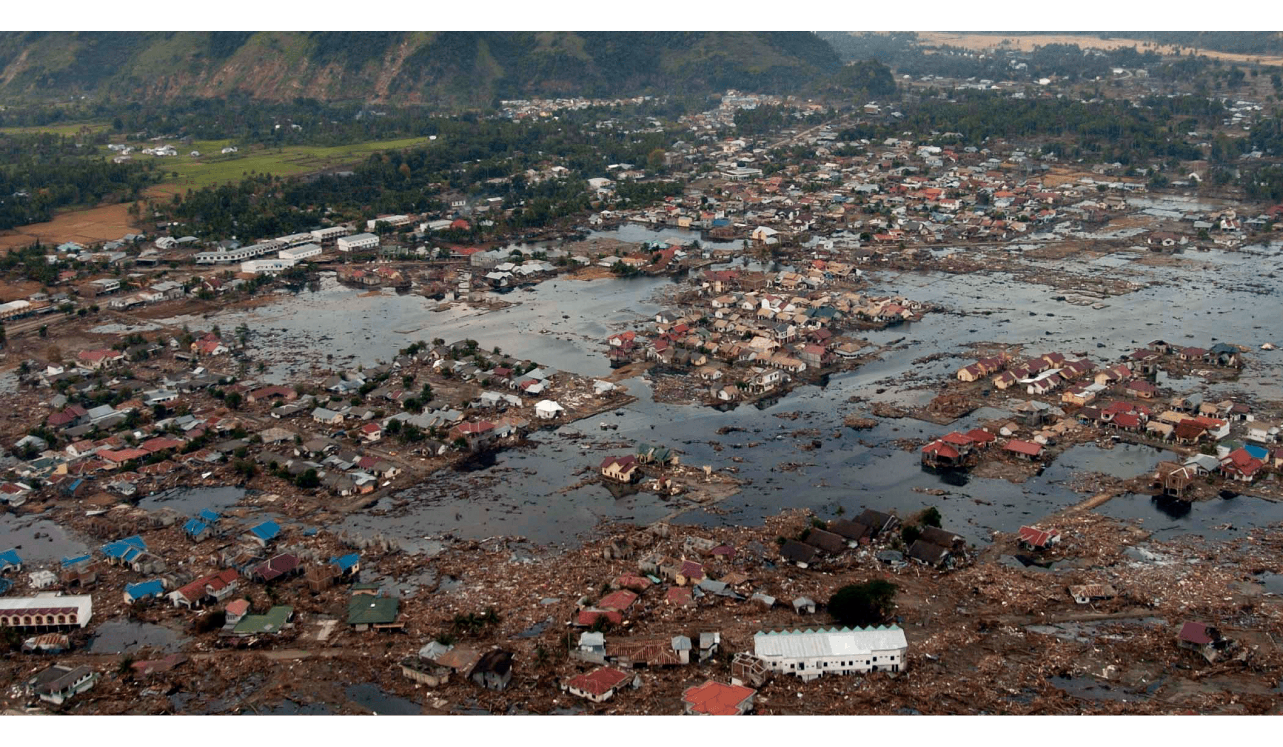 Greenprint feature image rising seas flooding - save 2 birds resilience