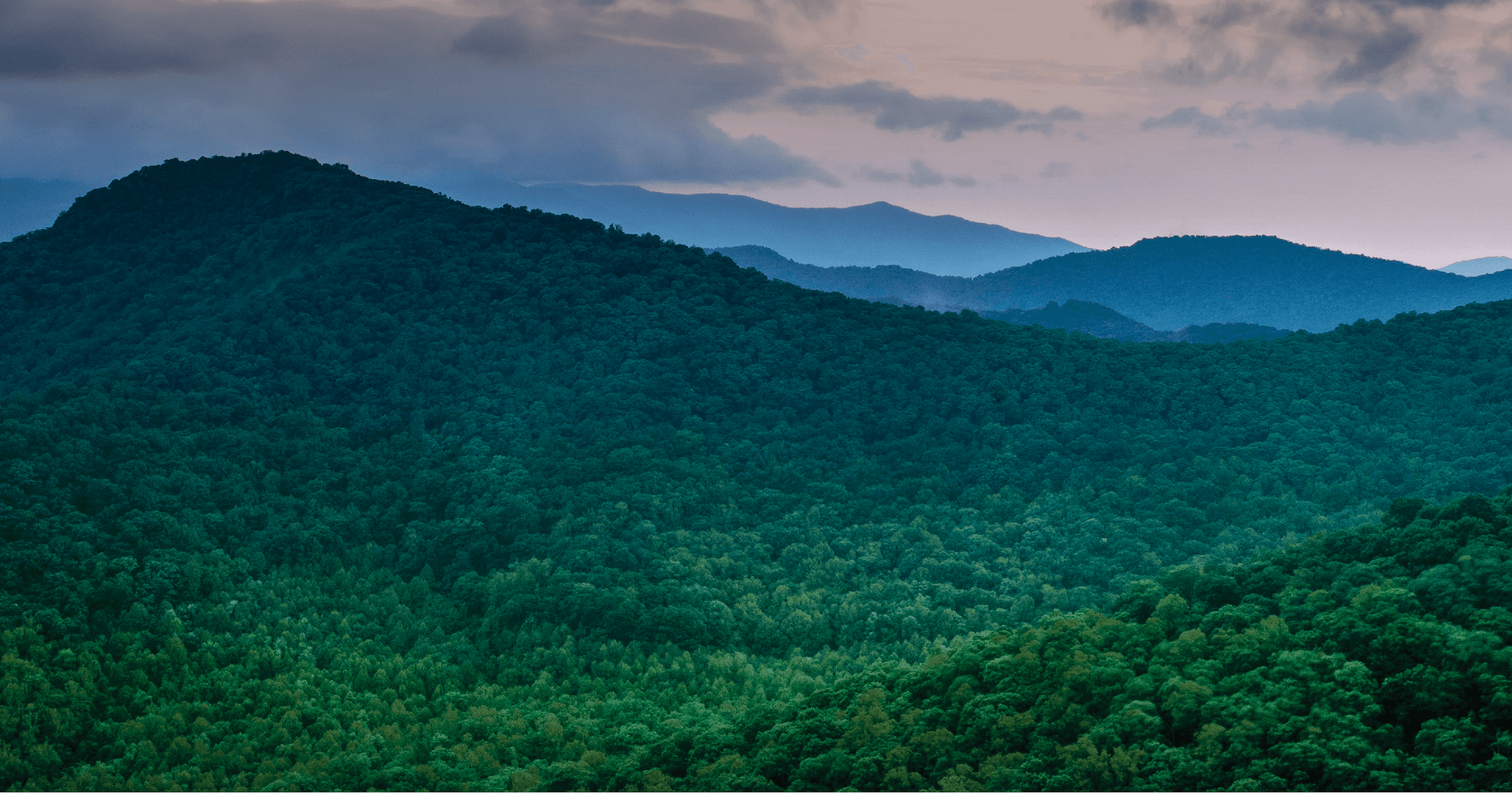 Greenprint feature image forest mountains