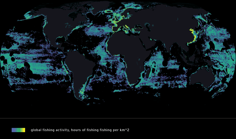 Global Fishing Activity map with key