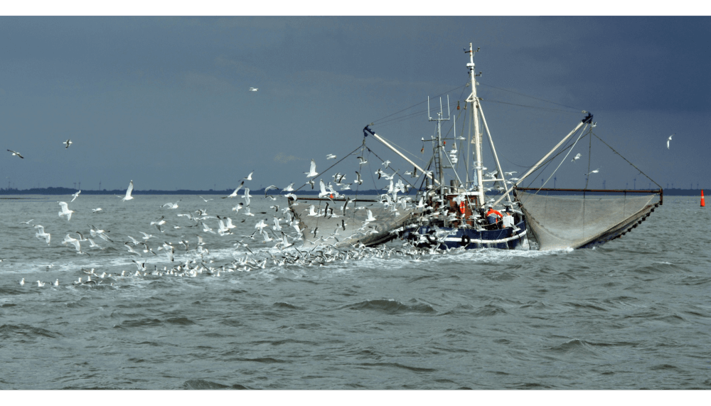 commercial fishing boat