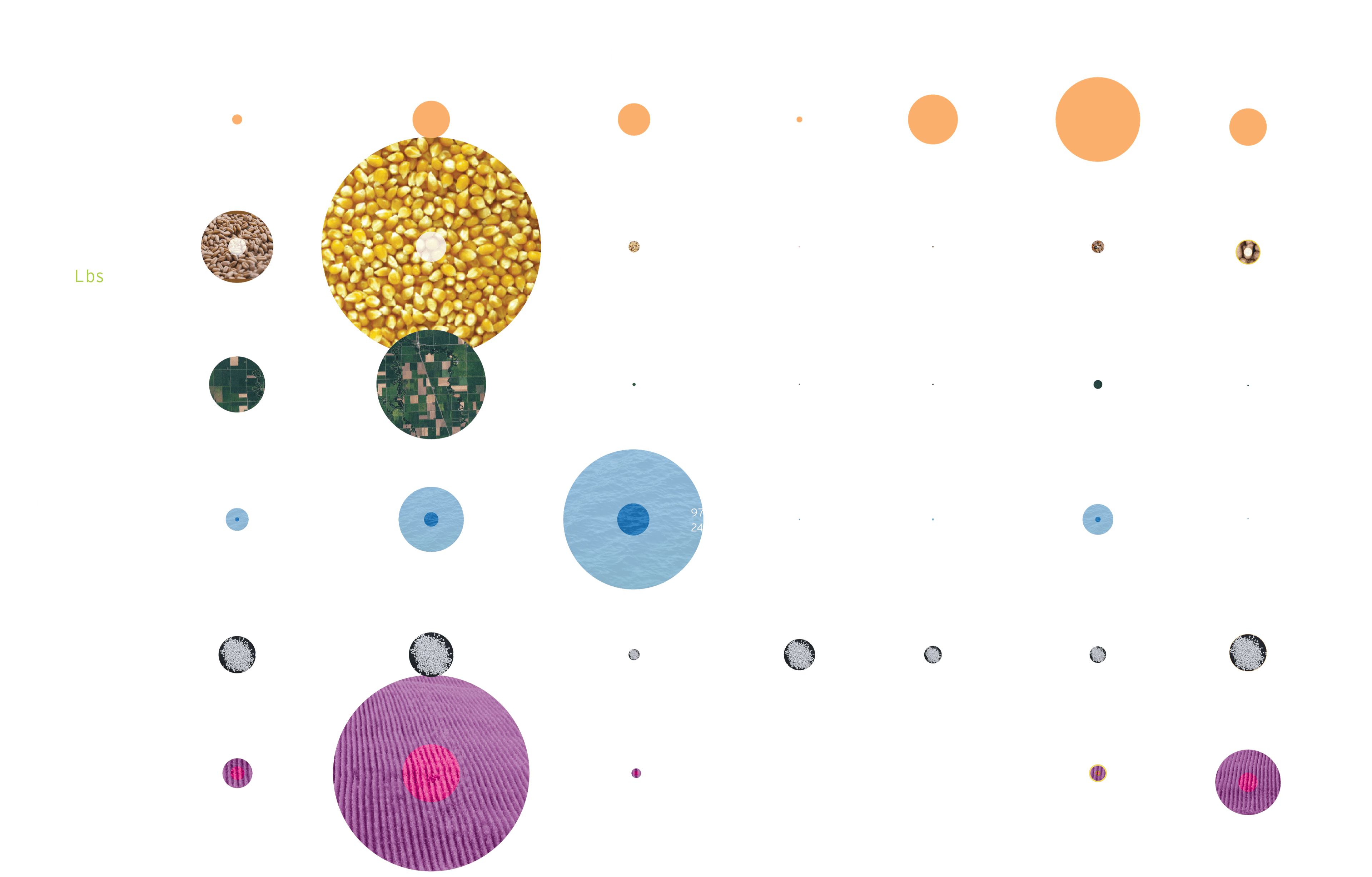 what if we grew crops better suited for their environment