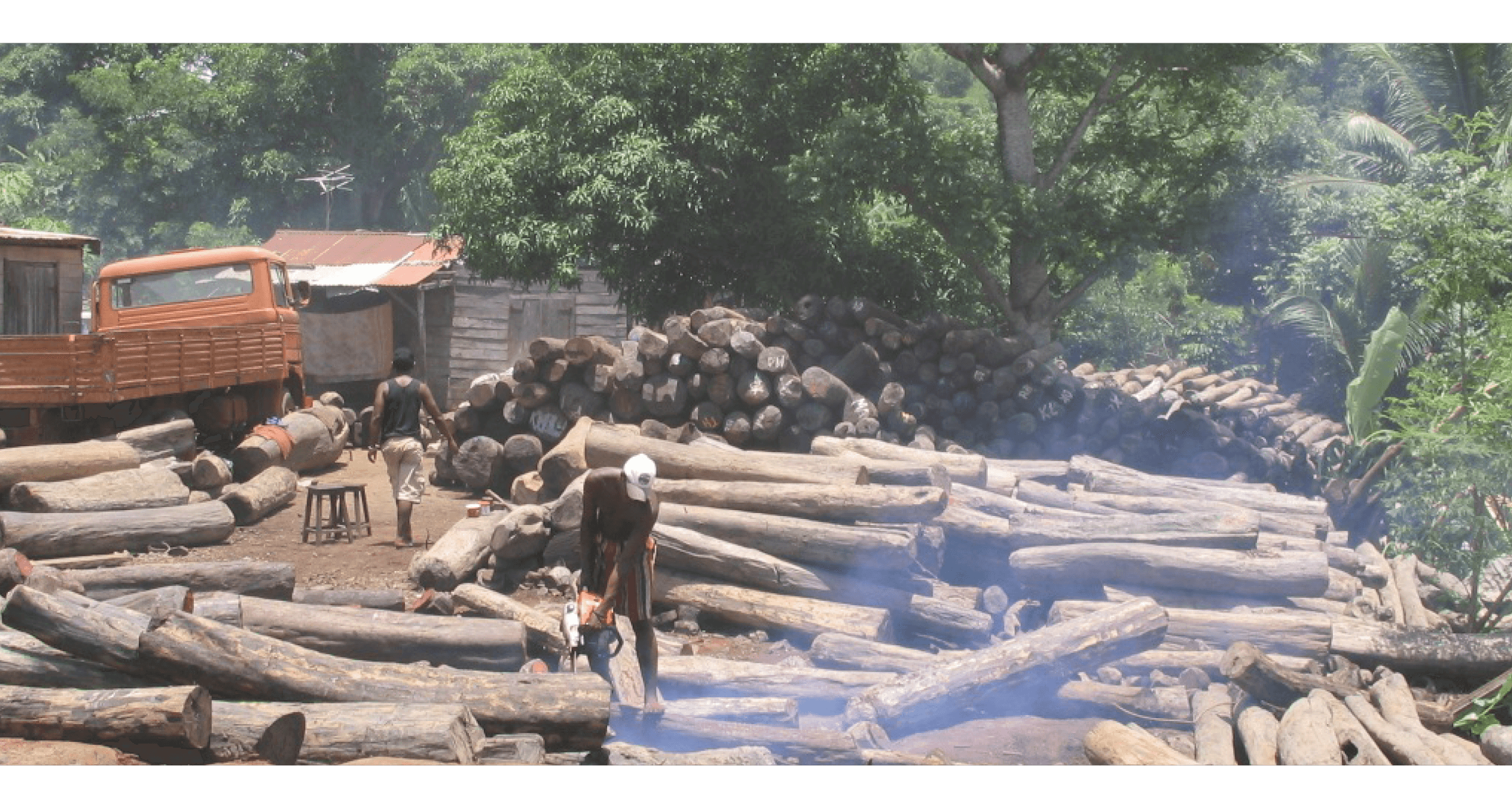 Save 2 Birds Forestry Sawing Logs