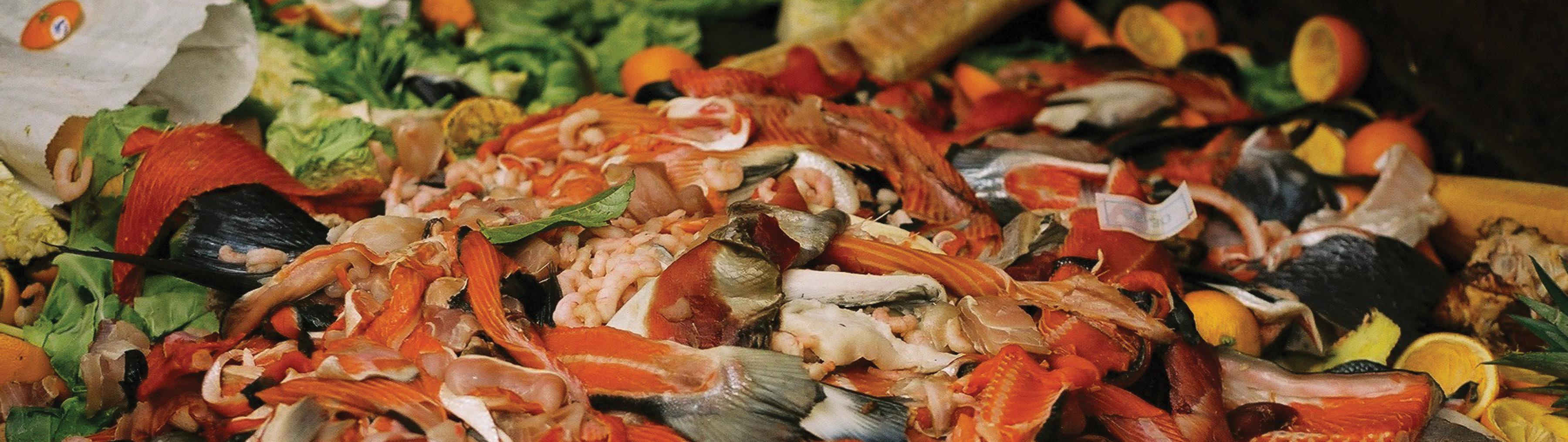 Solutions Hero Image Reduce Food Waste