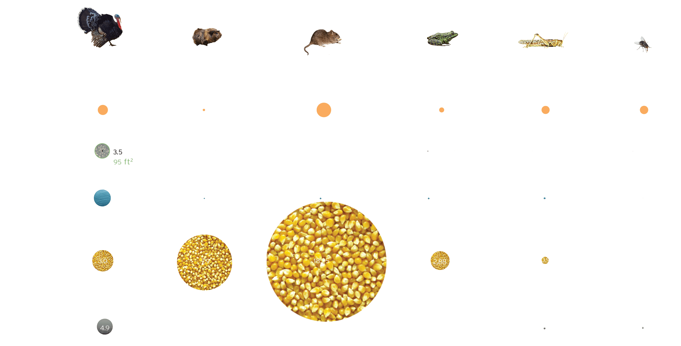 Eat Lower Down the Food Chain Infographic 2 of 3