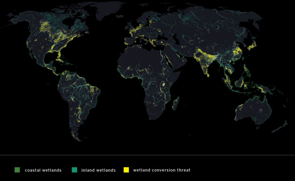 Wetlands Conversion Risk Map with key