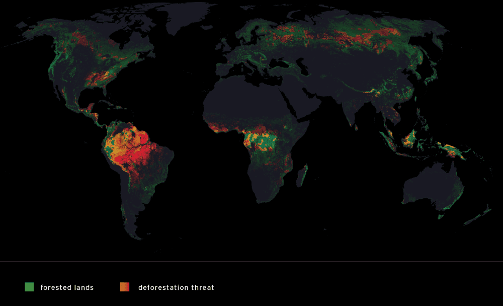 Forest Maps with key - Deforestation Risk