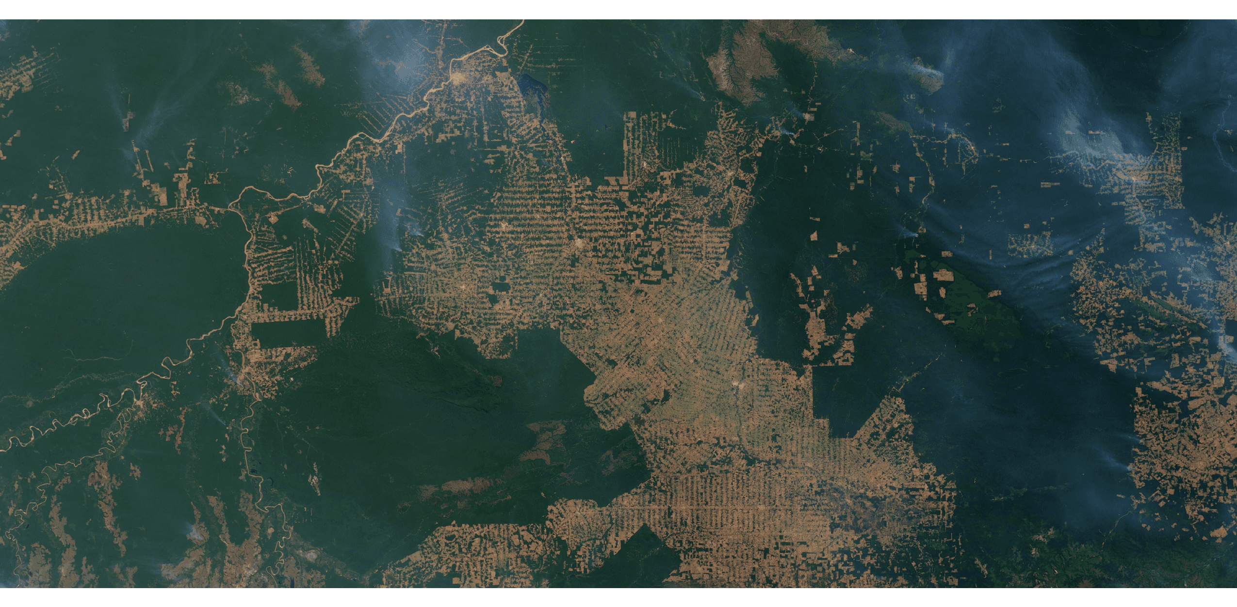 Pasture images - amazon deforestation aerial