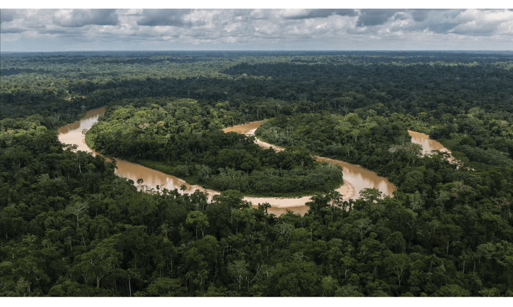 amazon aerial US forest service via NASA